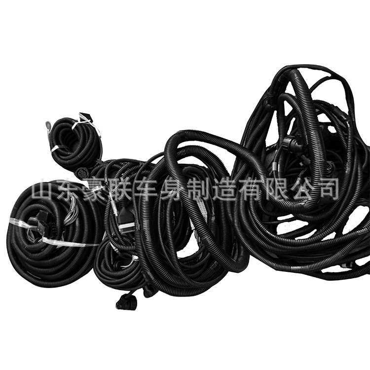 陕汽德龙X3000驾驶室线束F3000底盘线束潍柴发动机线束车门,鲜花速递/花卉仿真/绿植园艺,其它园艺用品,淘宝优惠券,粉丝福利购,淘宝优惠卷