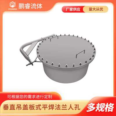 鹏睿 精良 卫生级垂直吊盖板式平焊法兰人孔套版