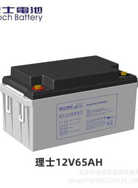 LEOCH理士电池DJM1265S理士铅酸蓄电池12V65AH楼宇应急逃生照明