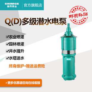新界干式抽水泵380V农田灌溉农用家用潜水泵井用取水高扬程离心泵