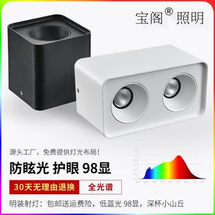 宝阁led明装射灯方形家用无主灯斗胆灯格栅灯客厅cob双头防眩射灯