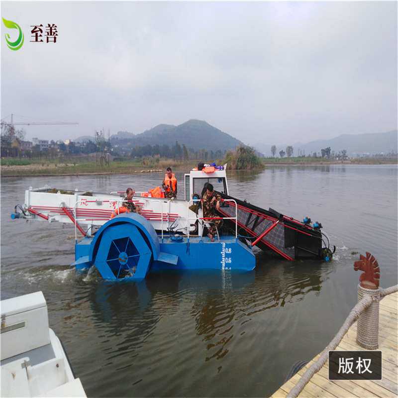 水草水葫芦收割船 湖泊河面漂浮物打捞船 全自动割草船小型割草船