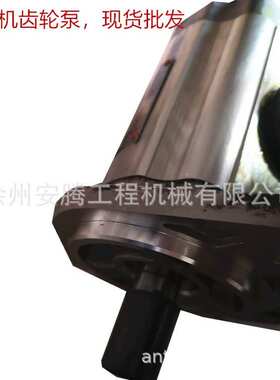 小装特机配件齿轮泵803071300  CBF-F432-ALPL
