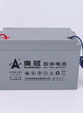 奥冠凝胶蓄电池6-GFMJ-12V24AH38AH40AH65H100AH120AH150AH200AH
