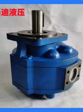 CMG2100-A1-30LS齿轮马达 工程机械马达