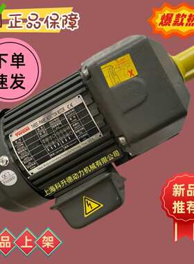 G200A  0.2KW SH28  165R  TWGM减速马达  TWGM排屑电机