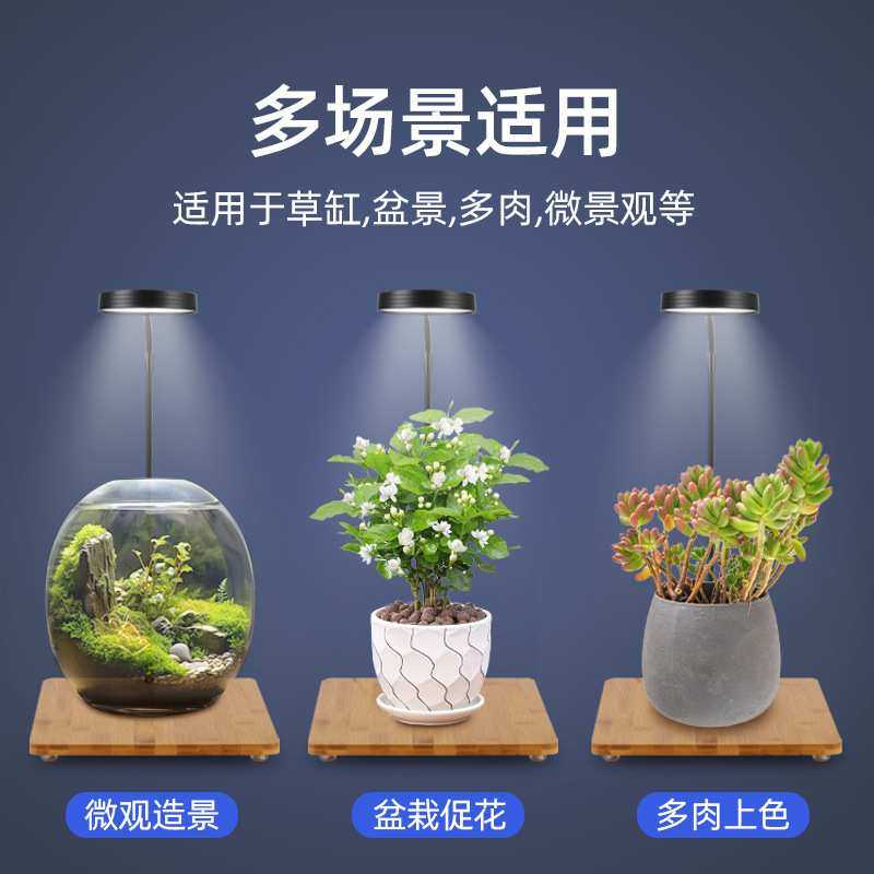 LED全光谱植物观赏补光台灯发财树多肉绿植花卉水草鱼缸灯3W灯1