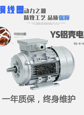 线w250/相Y0铝壳马达w级//55w4全铜电动机级芯w三国标75370S20