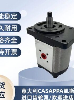 凯斯帕 CA3/A1527LAPP4338/7//34061//齿轮泵意大利PM322. S马达/