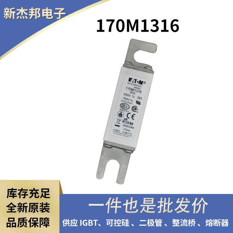 巴斯曼原装电压熔断器170M6597