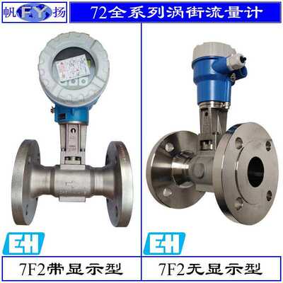 原装德国E+H FTL20 FTL31 FTM20系列音叉液位开关 液位计FTL50
