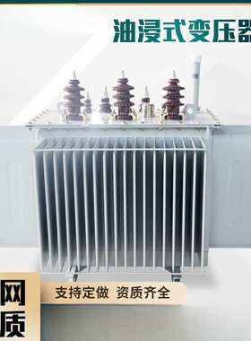 S11 S13 S20电力变压器10KV/380V/500/800/1250KVA三相电力变压器