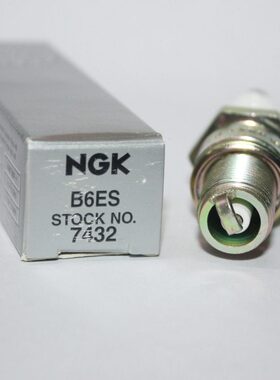 罗06ESV6BRT6适用隆鑫力帆 FC ES600宾汽油发电机BNGK火花塞RG