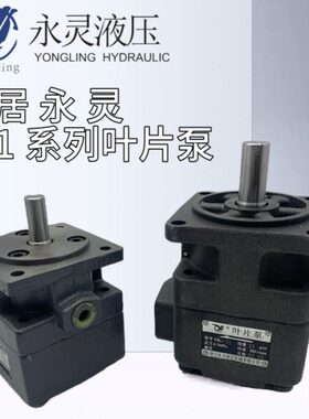 Y.1-1L0BY叶片泵3--12-506B5B/81/10 Y10B0 YC4/仙 Y居永灵1/2.5