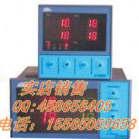 东辉仪表:DY2000(FE)四通道全分度号数字显示仪DY21FE0
