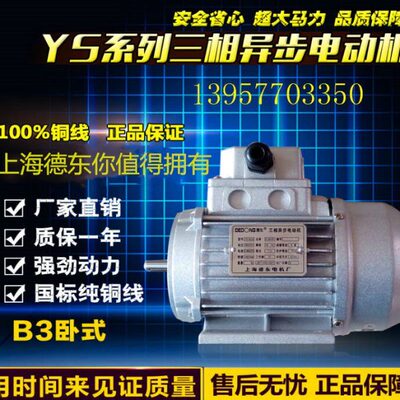 上海德东YS系列三相异步电动机YS7116/YS7126/YS7136/380V/960转