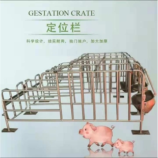 母猪地面猪用限位栏养猪场设备加厚地面围栏猪圈漏粪板设备
