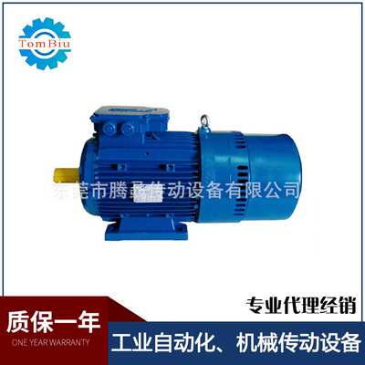 Temporiti意大利泰普利电动机往复运转刹车马达电镀线用电机