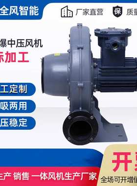 粉尘防爆型鼓风机 气体隔爆式鼓风机 石油化工防爆风机 EXDII BT4