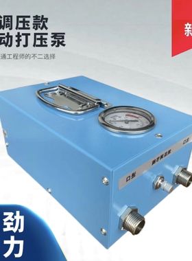 17公斤可调压打压泵电动试压泵PPCR水管打压机测压机地暖泵测漏水