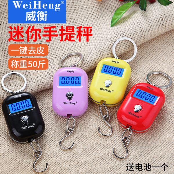 威衡迷你电子秤充电手提称买菜秤快递秤家用吊钩称弹簧挂称钓鱼秤