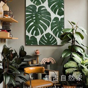 种籽造物80手作龟背大画植物标本挂画手工装饰画沙发客厅联画组画