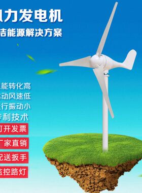 1012V监控路灯W300船用家用24Vw风光040户外0w风力发电机互补