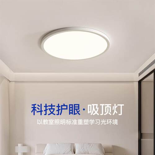 瑞普贴合吸顶灯现代简约餐厅卧室灯全光谱客厅灯护眼防虫灯具
