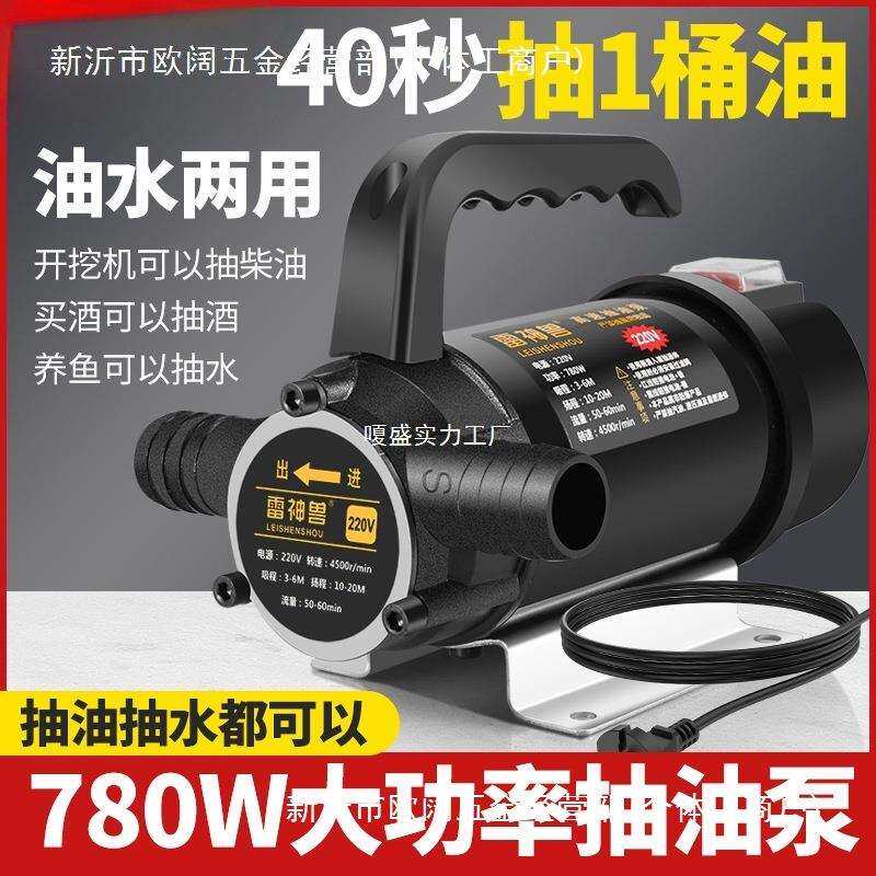 油水两用抽油泵电动抽水泵12V24V220V伏直流高压抽水泵加油机
