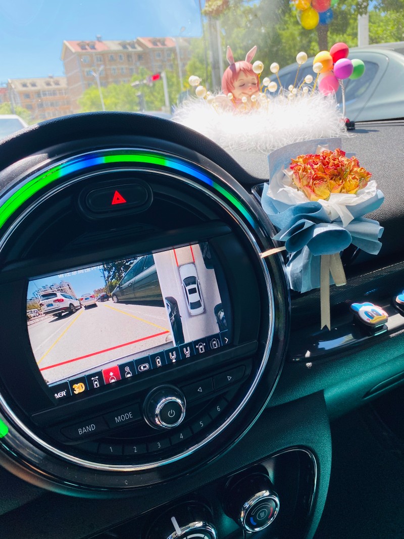 迷你精致干花束玫瑰结婚伴手礼情人节出风口车载夹毕业生日礼物