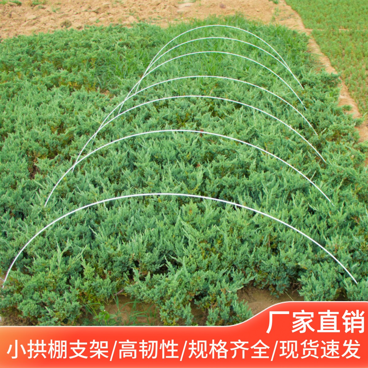 拱棚支架蔬菜暖温k室用大棚架子骨架杆玻璃纤维小支架菜棚拱形使