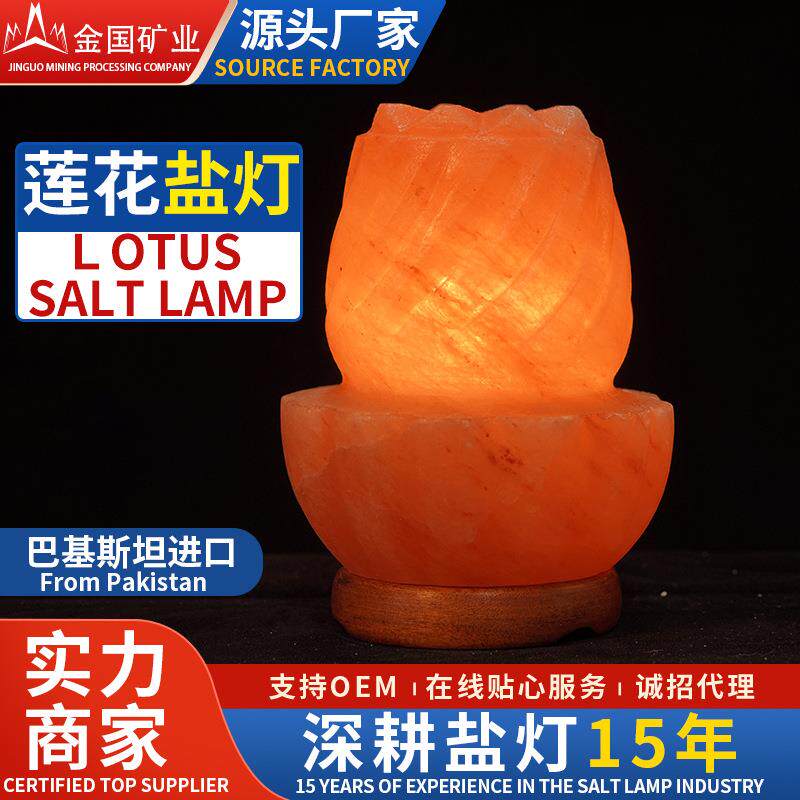 喜马拉雅水晶盐灯雕刻款盐灯莲花款创意玫瑰巴基斯坦厂家直销氛围