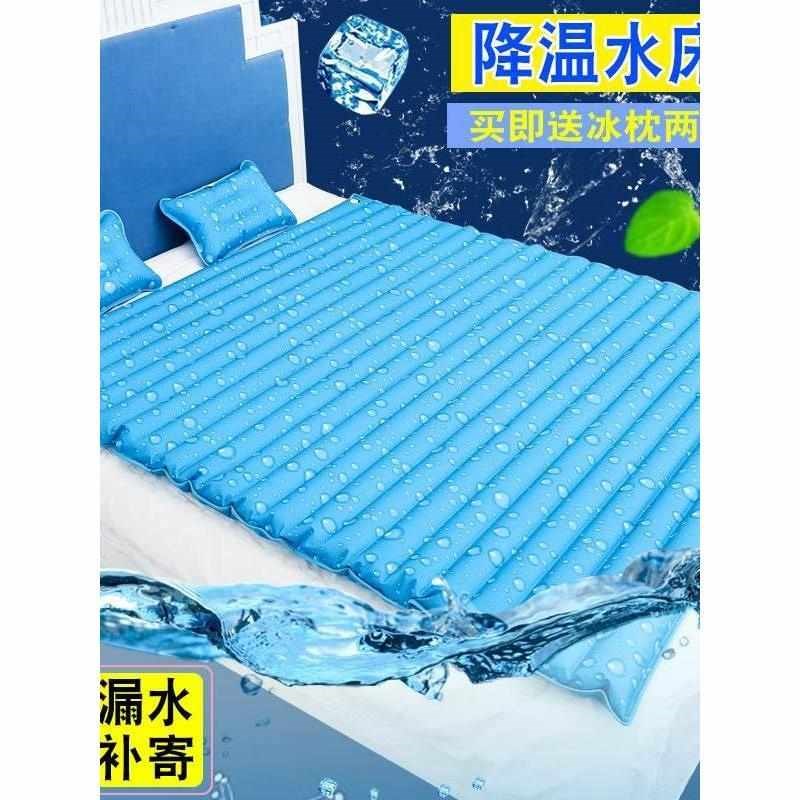 水床冰垫床垫水垫枕头冰凉宿舍降温夏天l水席袋床上X单人水床垫双