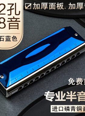 乐器阶48孔半鸟初学者孔音音十二蓝12孔声专业口琴晋级演奏