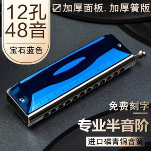 乐器阶48孔半鸟初学者孔音音十二蓝12孔声专业口琴晋级演奏
