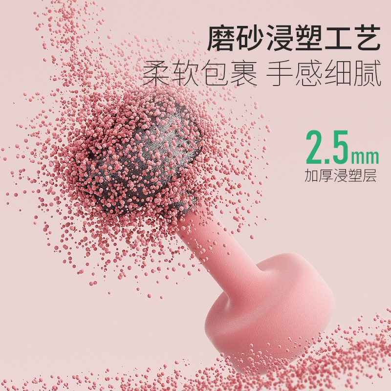 哑铃女士健身家用器材实心铸铁小重量男士力量组合瘦手臂2KG一对