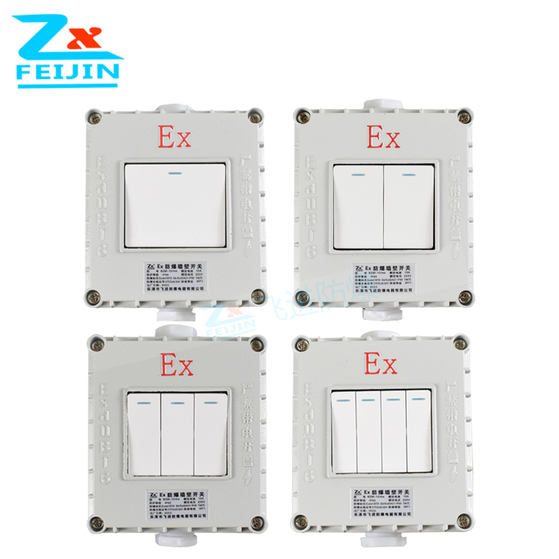 防爆墙壁开关220V10A明装暗装86型单联双联三联双控翘板照明开关