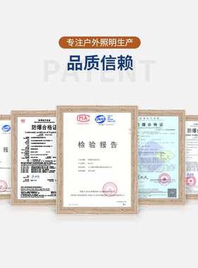 LED防爆灯仓库灯50w100W防尘防潮灯工厂车间圆形防爆手雷灯三防灯