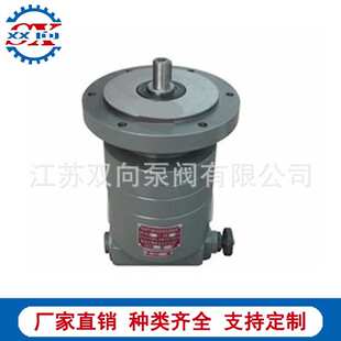 BBC B100 B125Y 齿轮油泵 摆线油泵BBC 2齿轮润滑泵 B63Y