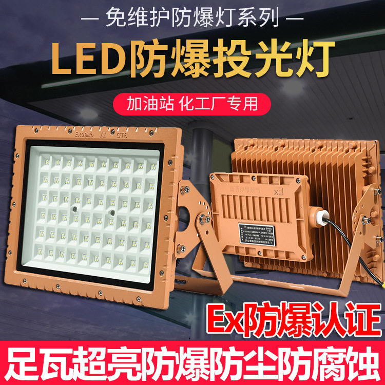 亚明LED防爆投光灯12-220V
