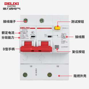 DZ47LE-125 2P 80A100A德力西漏电保护断路器 大电流塑壳式断路器