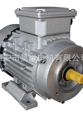 MS100L2-4三相3KW4级交流铝壳电机异步减速机配套220V380V50HZ
