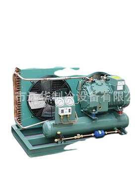 比泽尔半封闭螺杆 CSW8573-90Y/110Y 压缩机 维修 配件冷冻库