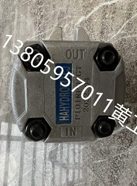 齿轮泵P105RP01G P106RP01G P107RP01G P108RP01G P109RP01G GT
