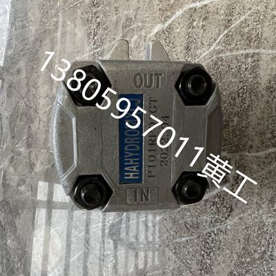齿轮泵P105RP01G P106RP01G P107RP01G P108RP01G P109RP01G GT