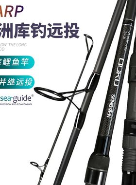 威海专业欧式库钓远投竿欧鲤钓大物竿插接抛竿超硬碳素3米9鲤鱼竿