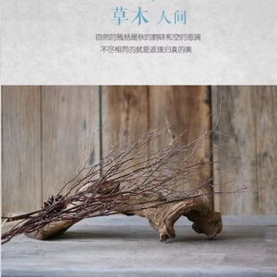 桦树枝龙柳树枝干枝分叉民宿咖啡厅餐馆造景客厅茶室禅意干枝插花