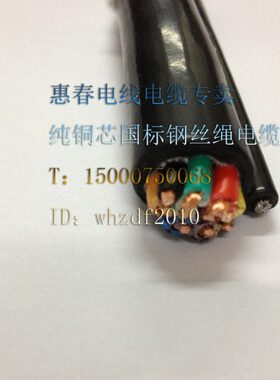 电动葫芦1.5X1带控制电缆行车2芯/单 方钢丝绳*国标平线HC12.5/