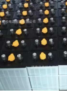 百瑞欧蓄电池D250 D330 D395 D440 搬运车2v免维护 平板车 牵引车