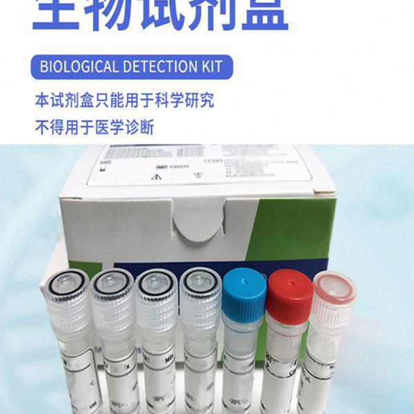 红色叶绿素降解产物还原酶(RCCR) ELISA检测试剂盒